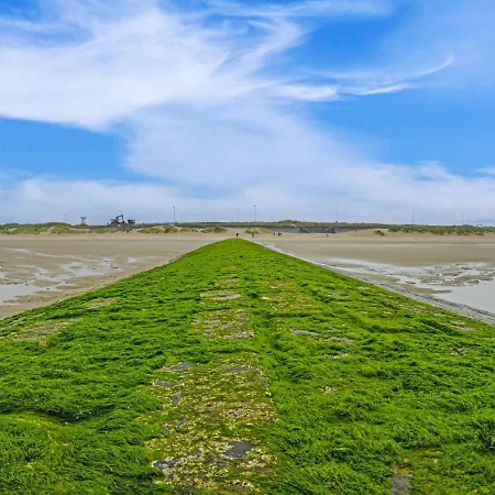 Beautiful Duplex Near Shopping Street Lägenhet Blankenberge